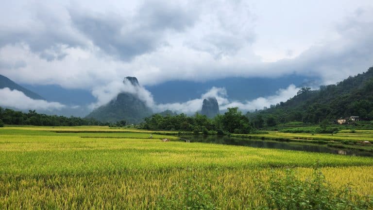 Beautiful rice paddy and mountains on the back road to Ba Be Lake
