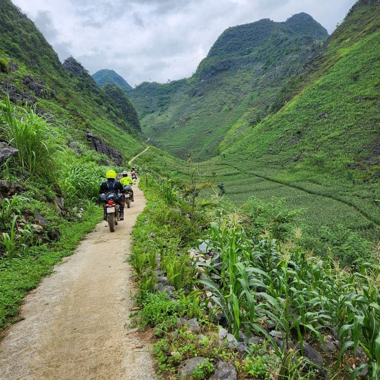 One of the many small tracks that criss cross the mountainside in Ha Giang