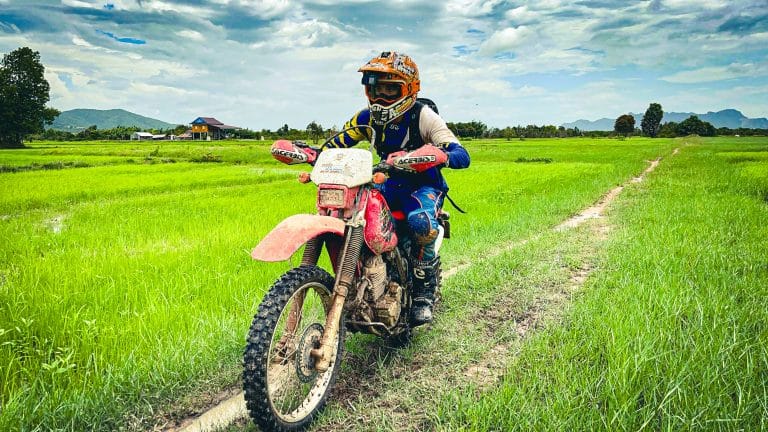 cruising through rice fields on motorbike tour in Cambodia